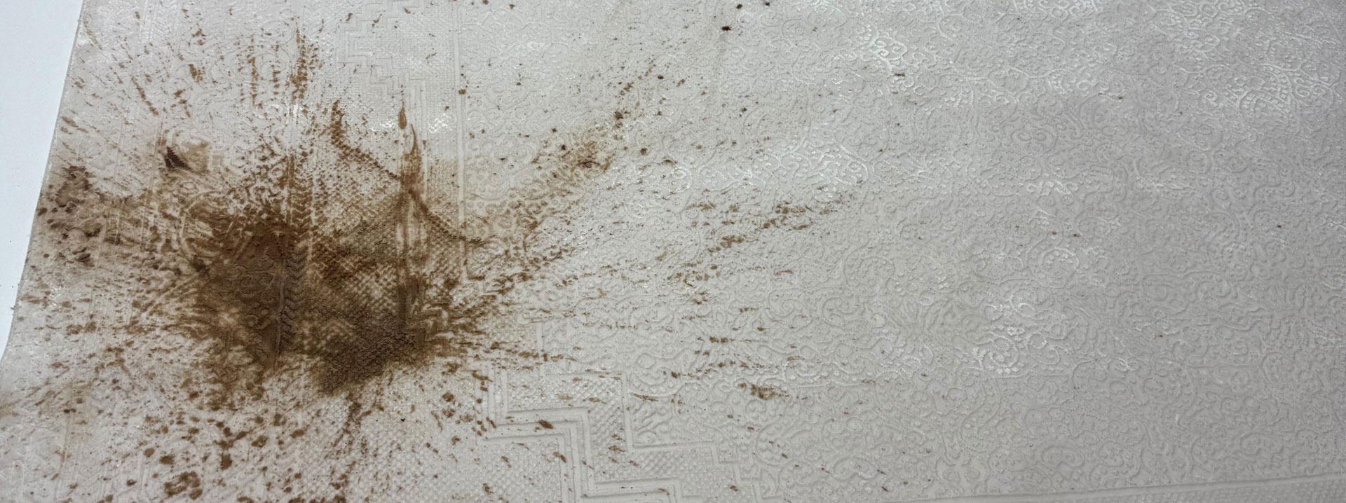 Temizlikte Kalite, Hizmette Güven